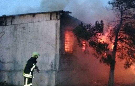 ����: infox.ru