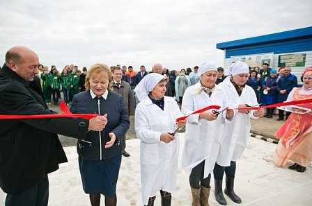  ������������ ������� ������� ������� �������� �������� 