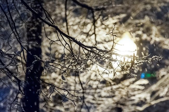  ��������� ������������ ������� ��������� 