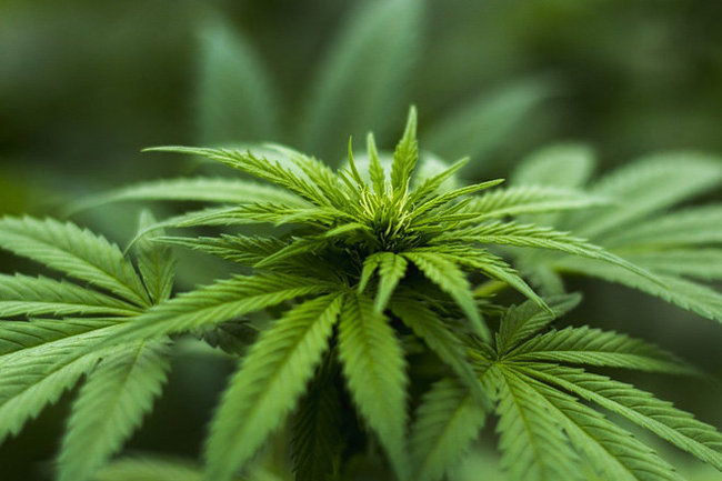  ������������ ������ ������ ��������� ������� ��������� ������ 