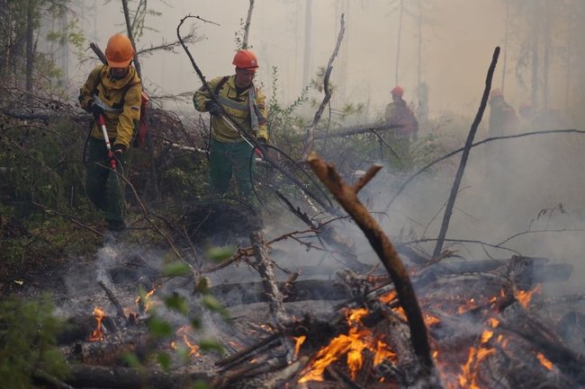 В Югре действует один лесной пожар в Советском районе