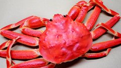 Рост экспорта крабов из России