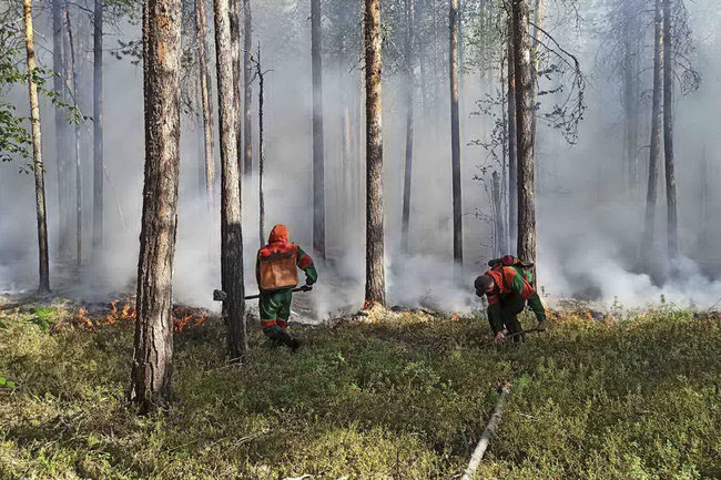 В Тюменской области потушили все лесные пожары