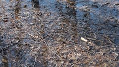 Задача — справиться со снегом: Воробьев рассказал о подготовке к паводкам в Подмосковье