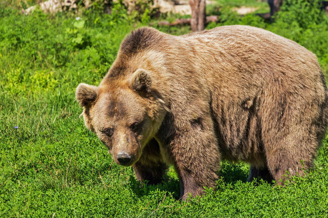 Кировская область. Архивная фотография: Pixabay.