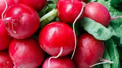 Какое количество редиски допустимо для ежедневного потребления?