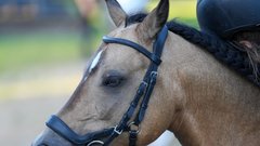 Из Татарстана отправлен «особый груз» в зону СВО