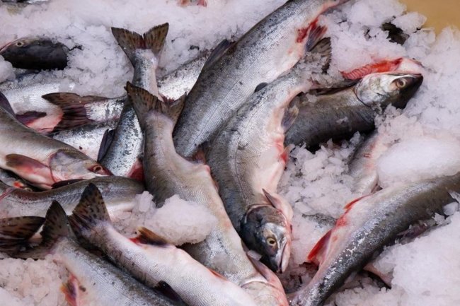 Фото: Правительство Сахалинской области