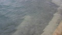 В Туапсе после атаки беспилотников произошел разлив нефтепродуктов в море