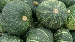 Что приготовить из тыквы на будний ужин: 5 простых шагов