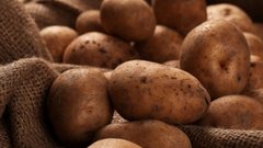 Названо лучшее время для посадки картофеля: все по лунному календарю