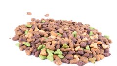 Российский экспорт кормов для кошек и собак достиг рекорда
