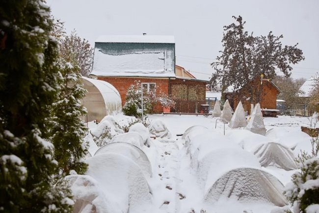 Снег, выпавший в начале недели, испугал многих дачников.