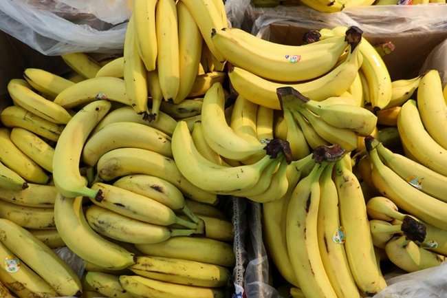 Алексей Белкин / NEWS.ru / Global Look Press