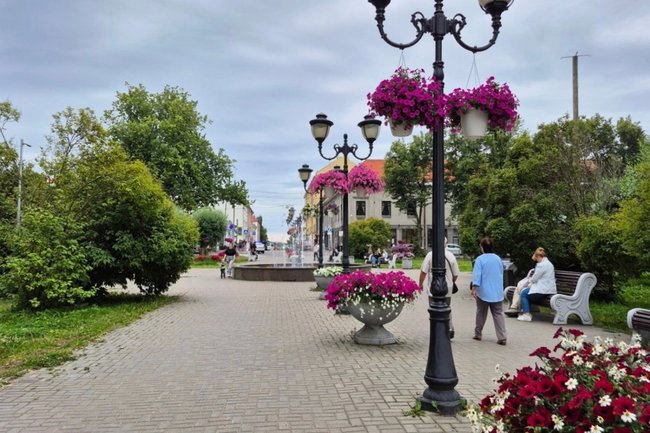 РБК Карелия
