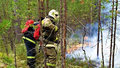 пожар мчс лес пожар лесной пожар 