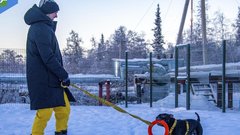 Кинолог выразил несогласие с предложением о введении налога на прогулку с собаками