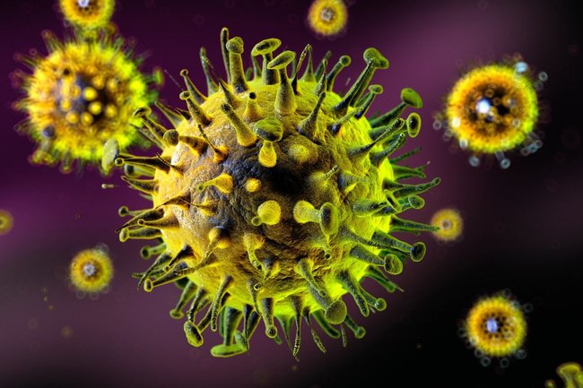 Вирусологи оценили эффективность «Спутник V» против индийского штамма коронавируса