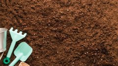 Почва станет рыхлой и урожайной: добавьте в ведро 2 ложки