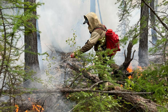 Спасатель назвал причины регулярных лесных пожаров в России