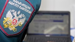 Экономист Юлиана Сорокина: ФНС начинает проверки крупных поступлений на счета самозанятых