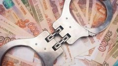 В Приморье полиция обнаружила 348 преступлений в области экономики в прошлом году