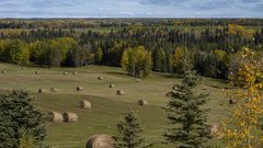 В Карелии зарегистрированы первые «гектары» в Арктике