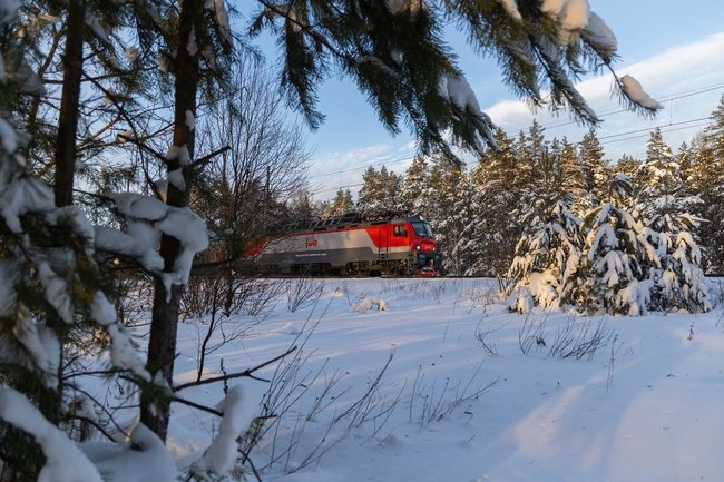 «Мы шли километры в темноте»: в Пермском крае пассажиров поезда высадили в лесу