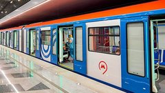 Выявлена судьба пассажира, упавшего на рельсы в московском метрополитене