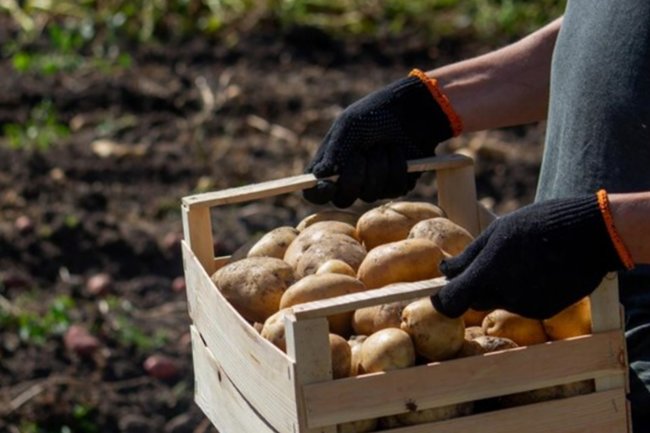 Фото: ru.freepik.com, anuta23