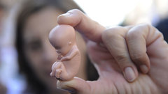 Все частные больницы в Свердловской области прекратили проводить аборты