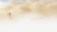 Туман затянул Москву