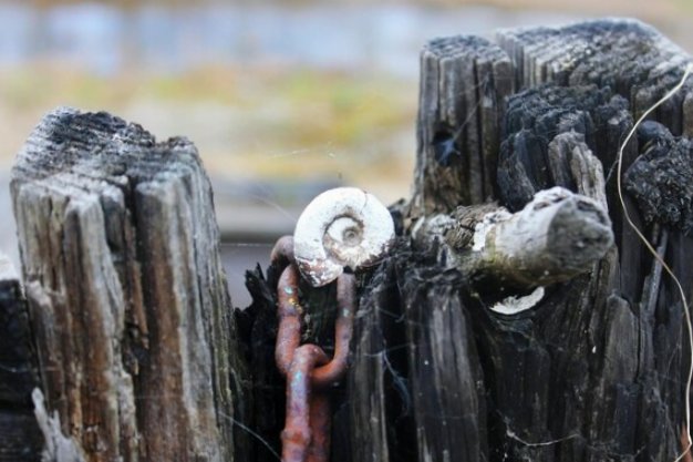 В Южно-Сахалинске обнаружили столетний деревянный водопровод японской эпохи
