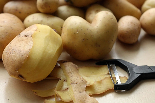 В Салехарде начали собирать урожай картофеля