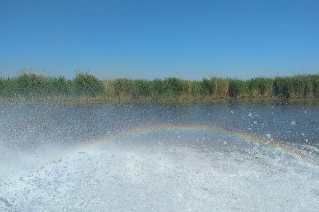 жара вода водоем