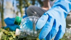 Дачникам рекомендовали срочно развесить пластиковые бутылки на своем участке