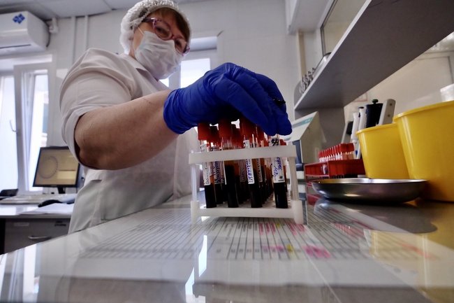 Ученые из РФ создали систему определения штаммов коронавируса