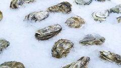 Елена Малышева предупредила о потенциальной опасности устриц в ресторанах из-за норовируса