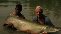 В Бразилии появились рыбы, которые могут дышать воздухом