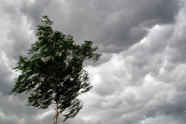 Угроза жизни и здоровью людей: Калужскую область накроет 9-балльный шторм