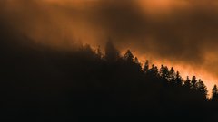 Пожары и осадки могут дополнительно распространить радиацию по Чернобыльской зоне