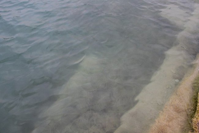 море