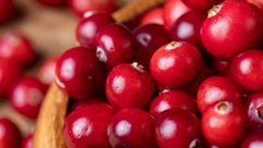 Исследования показывают, как горькие продукты способны улучшать функции мозга