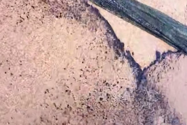 мазут / Черное море