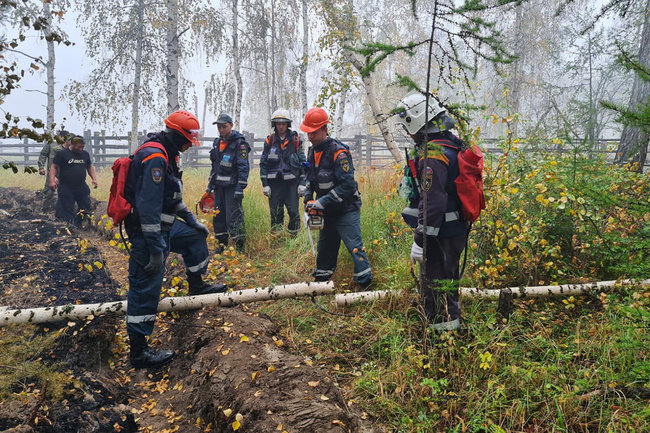 В ЯНАО за сутки потушили 3 лесных пожара