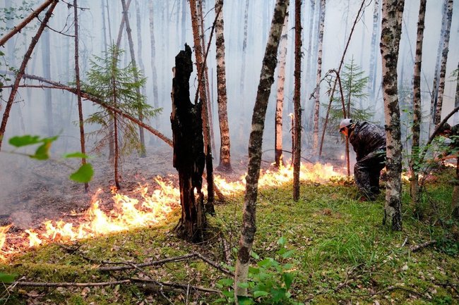 В ХМАО добровольцы тушат лесные пожары