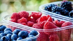 Эксперты предостерегают россиян от ошибок при замораживании ягод