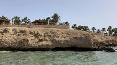 Исследователи нашли в Египте следы, возможно, самого древнего примата на планете