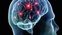 Врач назвал три эффективных способа «очистить» мозг от метаболического мусора