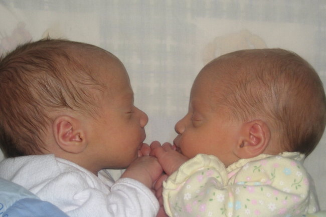 Двойня двойняшки близнецы